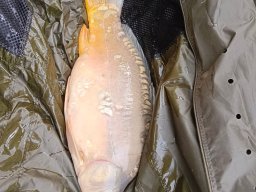 fb_img_1762424048476